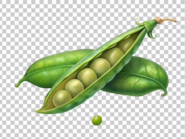 PSD pod of green peas on white background