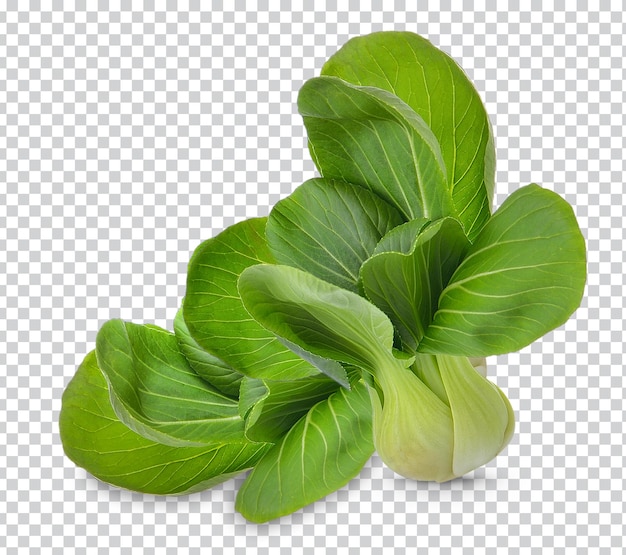 Pok Choi isolated Premium PSD