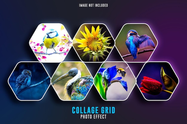 Polygon Collage photo grid template