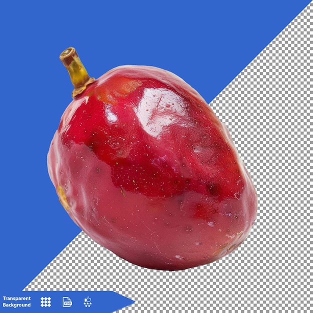 a pomegranate is shown with a blue background