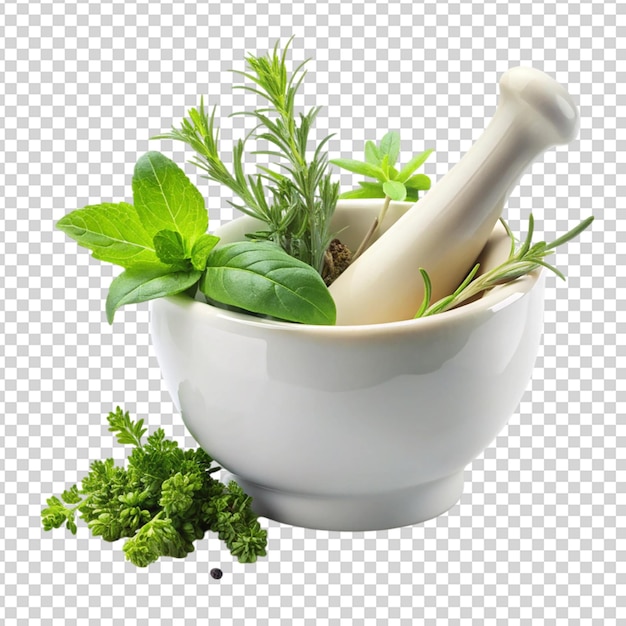 Porcelain mortar with herb Isolated on transparent background