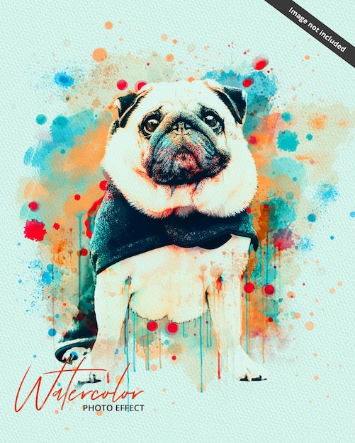 A poster for a dog named whiteer.