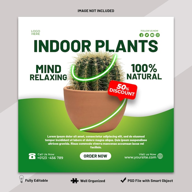 a Poster for indoor plants Cactus Plants Sale Template