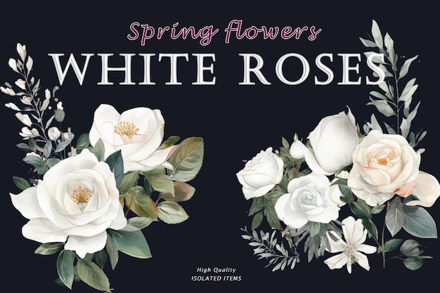 A poster for spring flowers white roses with a black background.