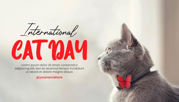 PSD a poster template for international cat day with a cute cat background