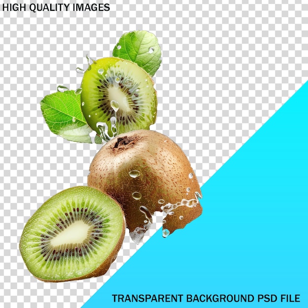 a poster with a picture of a kiwi fruit with the words high quality