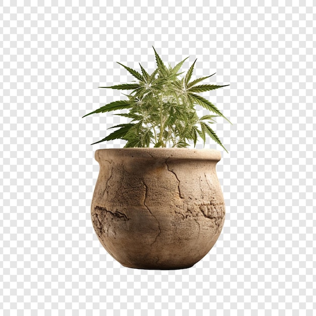 PSD pot isolated on transparent background