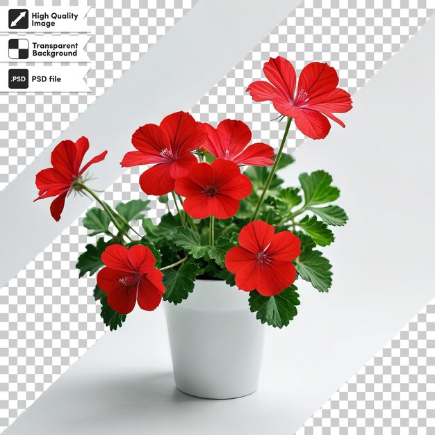 a pot of red flowers with a picture of a geranium