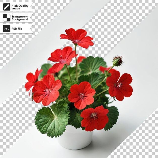 PSD a pot of red flowers with the words geranium on it