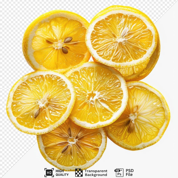 potrait collection set of lemon slices png psd images png