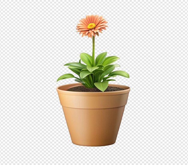 PSD potted flower plant with blooming orange blossom in terracotta pot