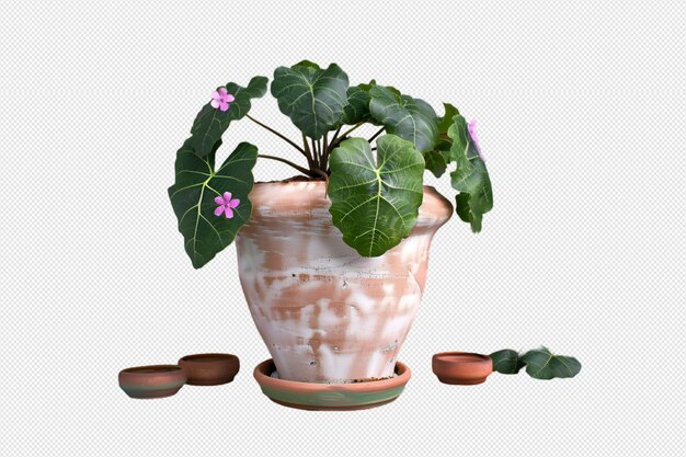 PSD potted plant isolated on transparent background