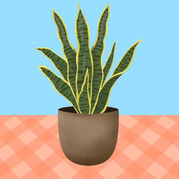 a potted plant sits on a checkered tablecloth