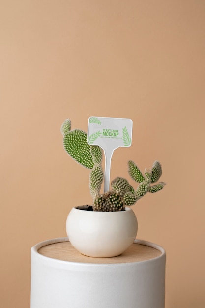 Potted plant with label