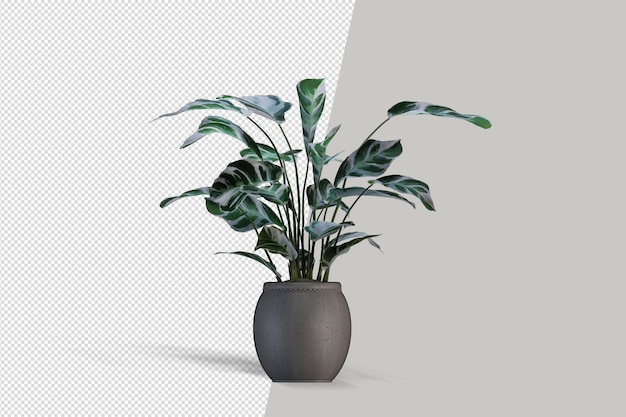 Potted plants in 3d rendering isolated