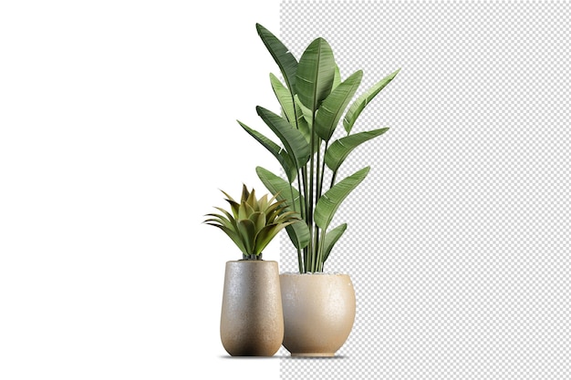 Potted plants in 3d rendering isolated