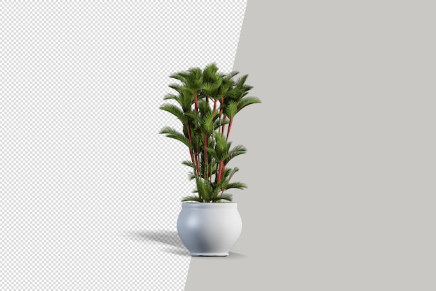 Potted plants flowers in 3d rendering isolated