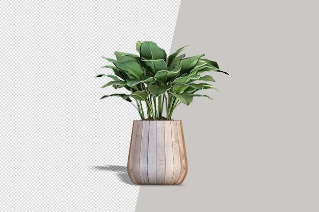 Potted plants flowers in 3d rendering isolated