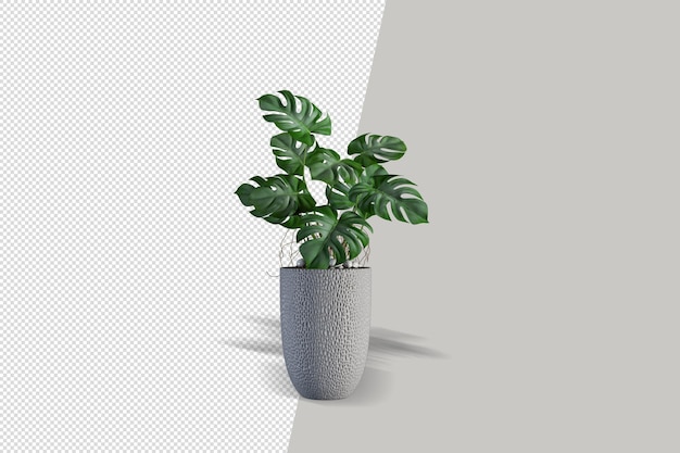 Potted plants flowers in 3d rendering isolated