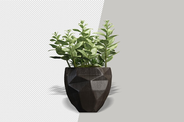 Potted plants flowers in 3d rendering isolated