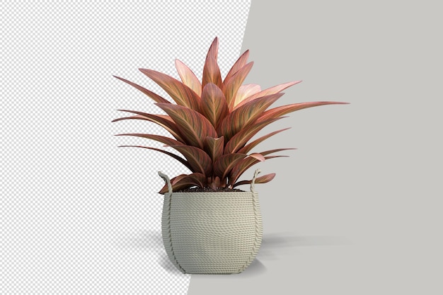 Potted plants flowers in 3d rendering isolated