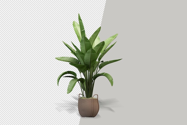 Potted plants flowers in 3d rendering isolated