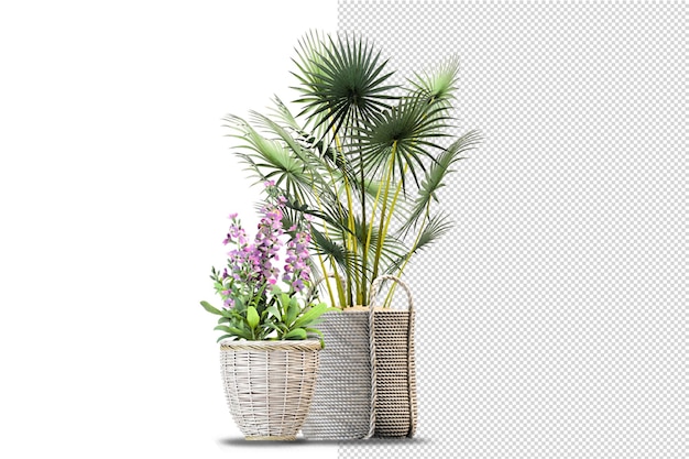 Potted plants flowers in 3d rendering isolated