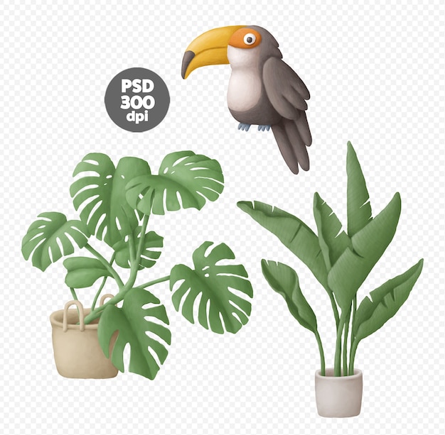 Potted plants and toucan hand drawn illustrations digital