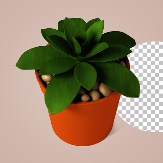 Potted small plant for home decoration concept