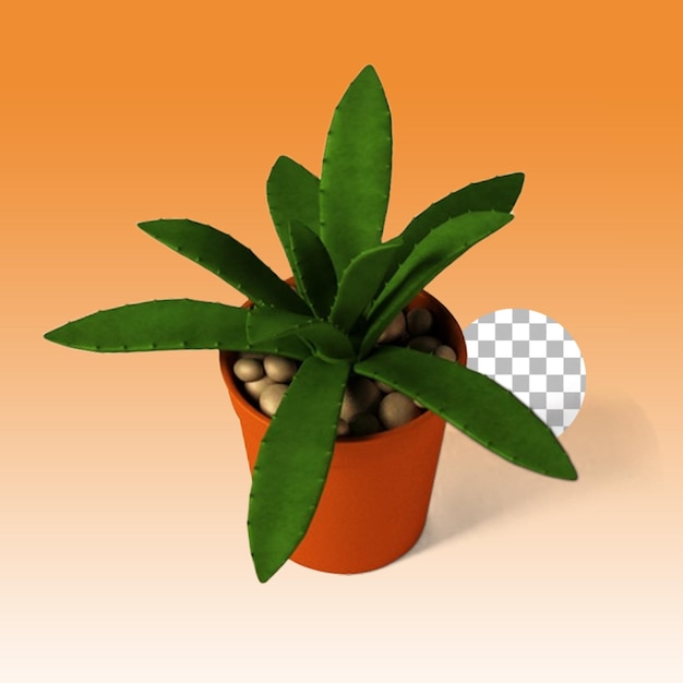 Potted small plant for home decoration concept