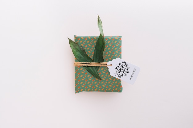 Present box mockup with leaves