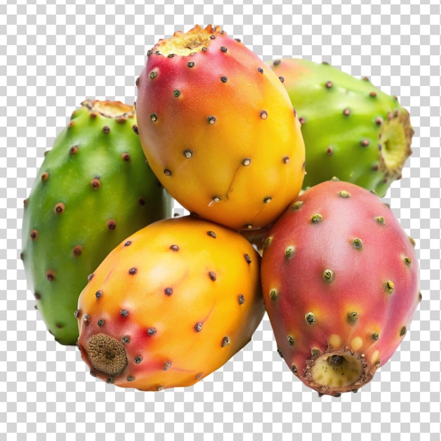 prickly pears isolated on transparent background