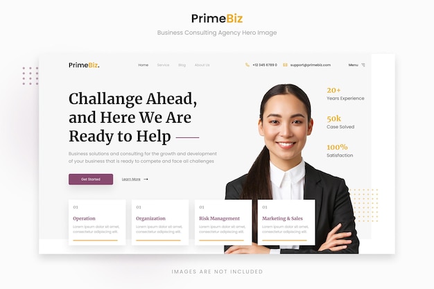 PrimeBiz - Clean and Professional Business Consulting Agency Hero Image