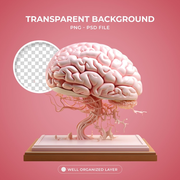 PSD 3D Brain Element for Composition PNG Transparent Background