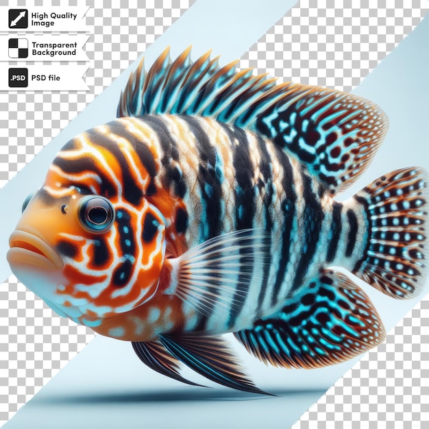 PSD african cichlid fish on transparent background with editable mask layer