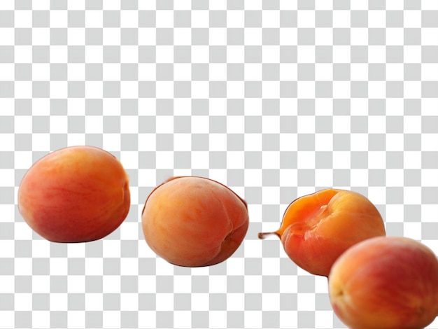 PSD of a Apricoton