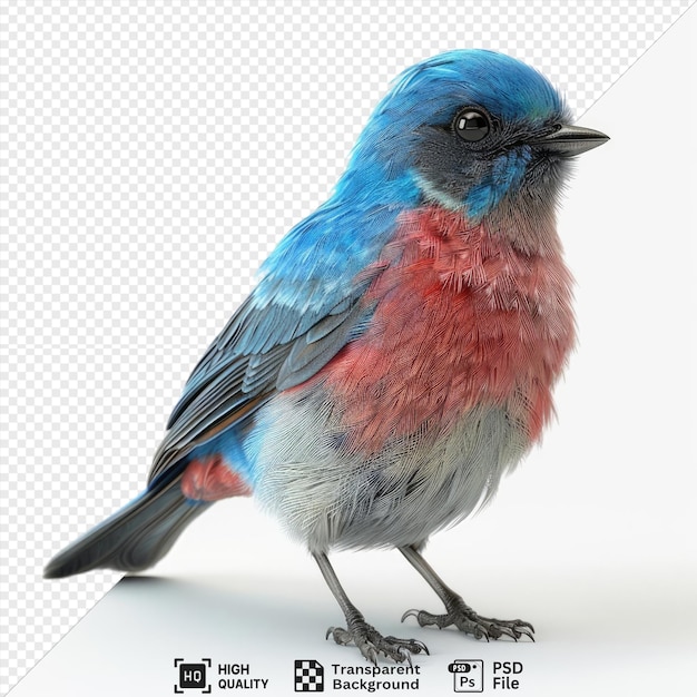 psd bird box png clipart featuring a blue bird with a black beak eye and foot a blue head and a blue and gray wing png