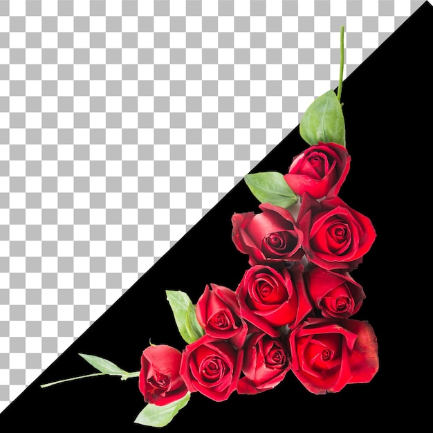 psd a bunch of red roses with a black background