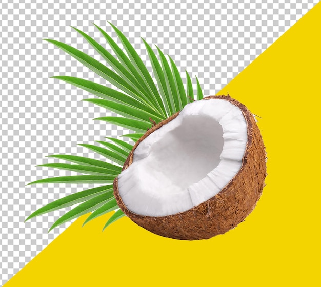 Psd coconut with a coconut on it is shown on a transparent background