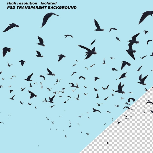 PSD flock birds flying through a blue sky on isolated transparent background