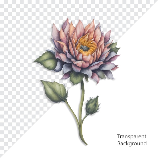 psd flower illustration transparent background