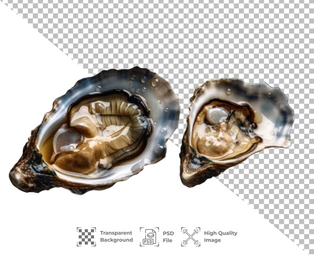 PSD psd fresh opened oyster isolated on transparent background