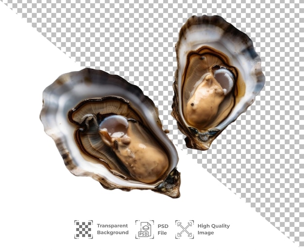 PSD psd fresh opened oyster isolated on transparent background