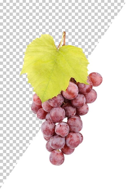 Psd grapes with a leaf that says grape on the side With Transparent Background