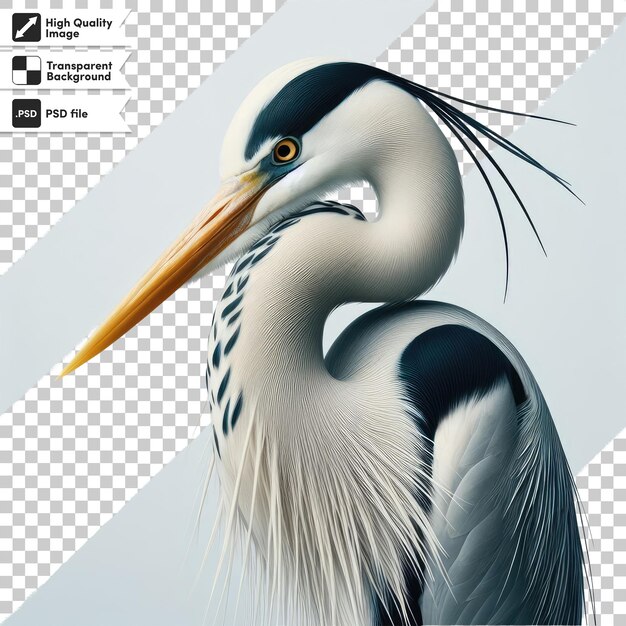 PSD great blue heron ardea cinerea on transparent background with editable mask layer