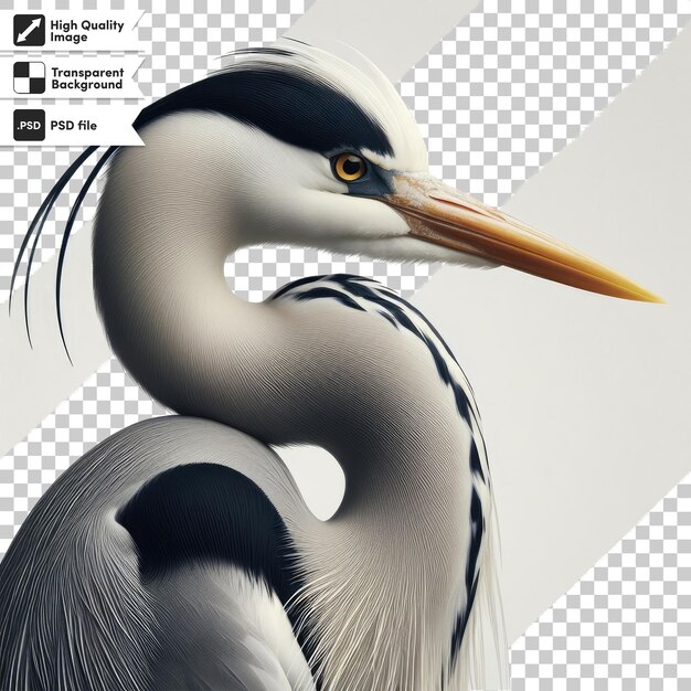 PSD great blue heron ardea cinerea on transparent background with editable mask layer