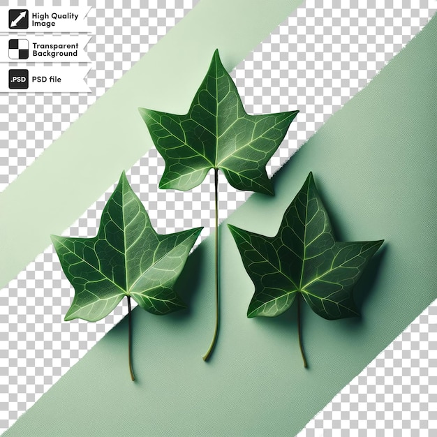 PSD green leaf on transparent background