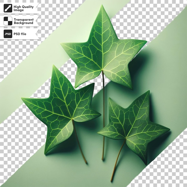 PSD green leaf on transparent background