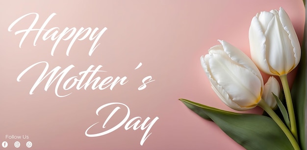 PSD psd happy mothers day background with white tulips flowers