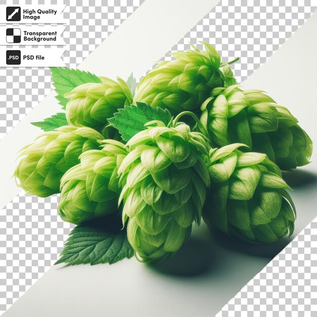 PSD psd hop cones on transparent background